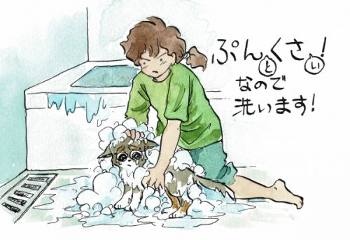 お風呂に入る犬